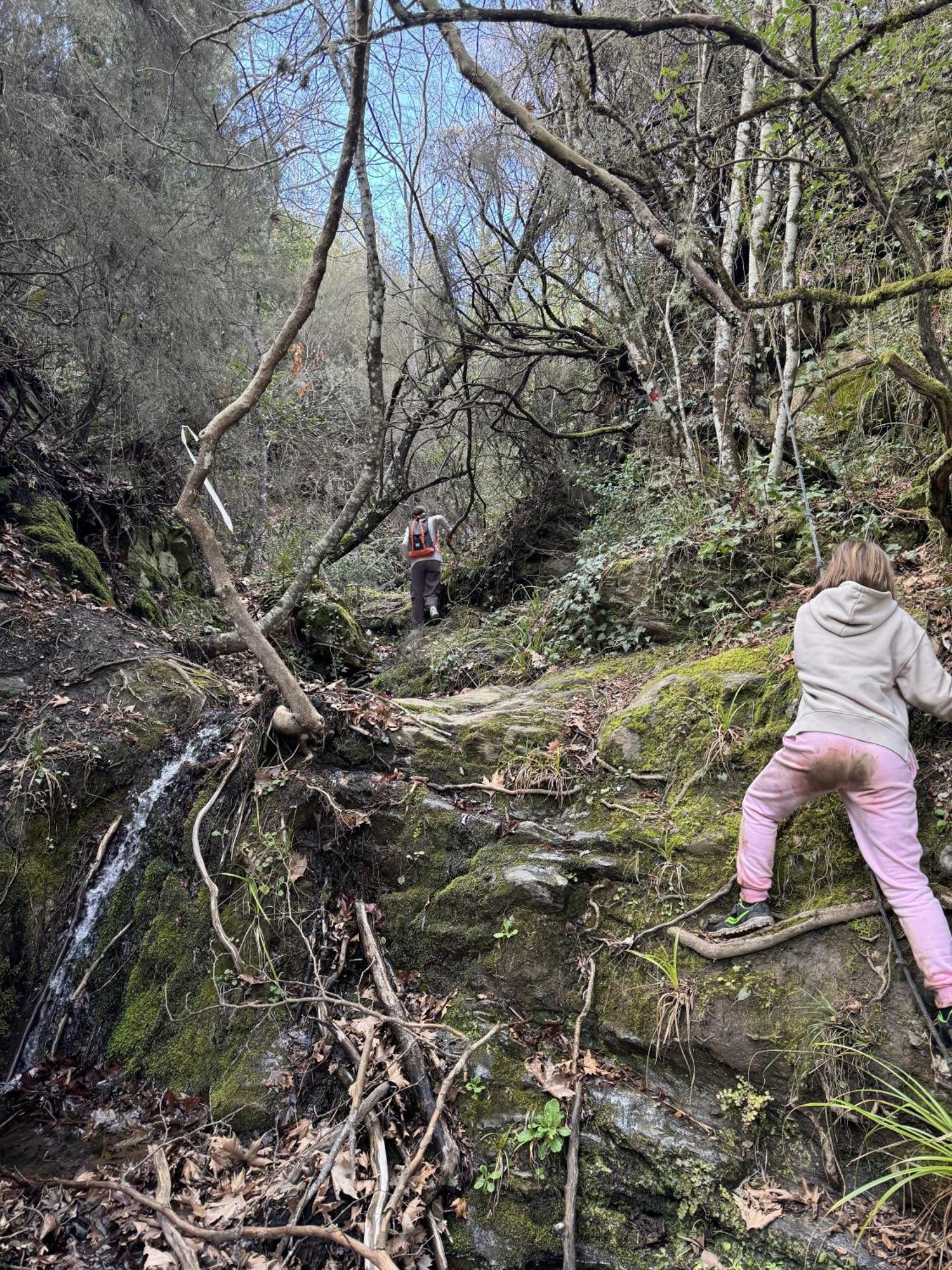 Foresta In Medias Mores Tripoli Extérieur photo