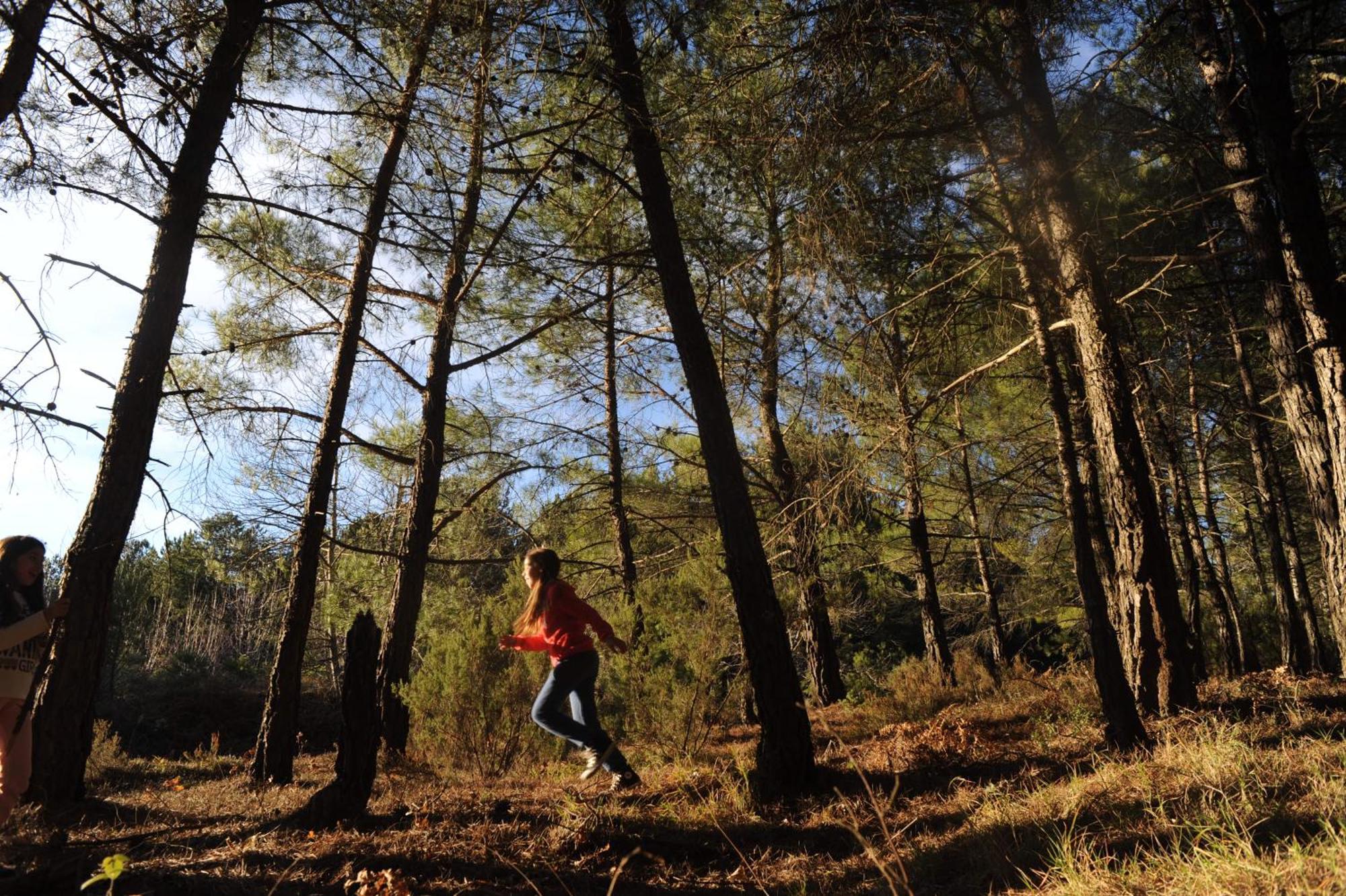 Foresta In Medias Mores Tripoli Extérieur photo