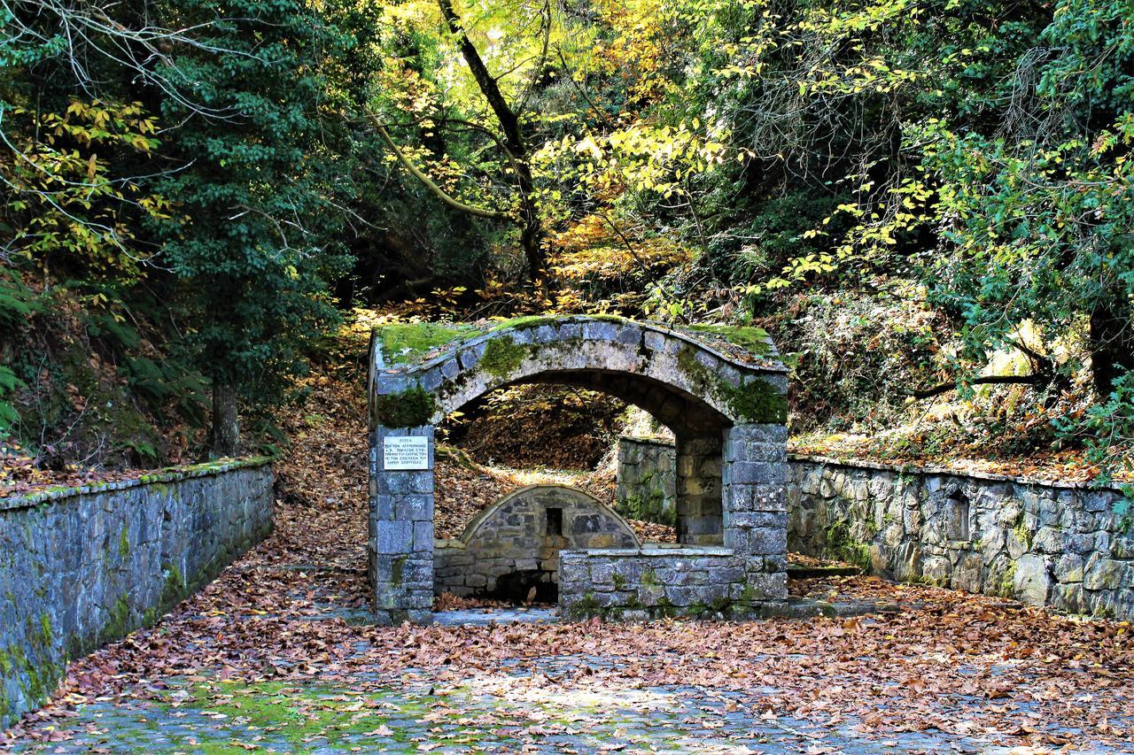 Foresta In Medias Mores Tripoli Extérieur photo