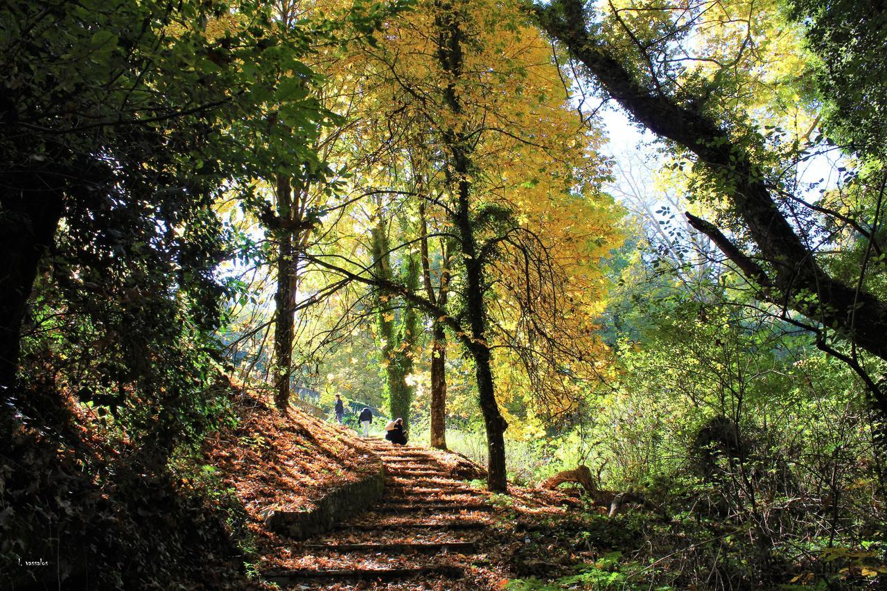 Foresta In Medias Mores Tripoli Extérieur photo
